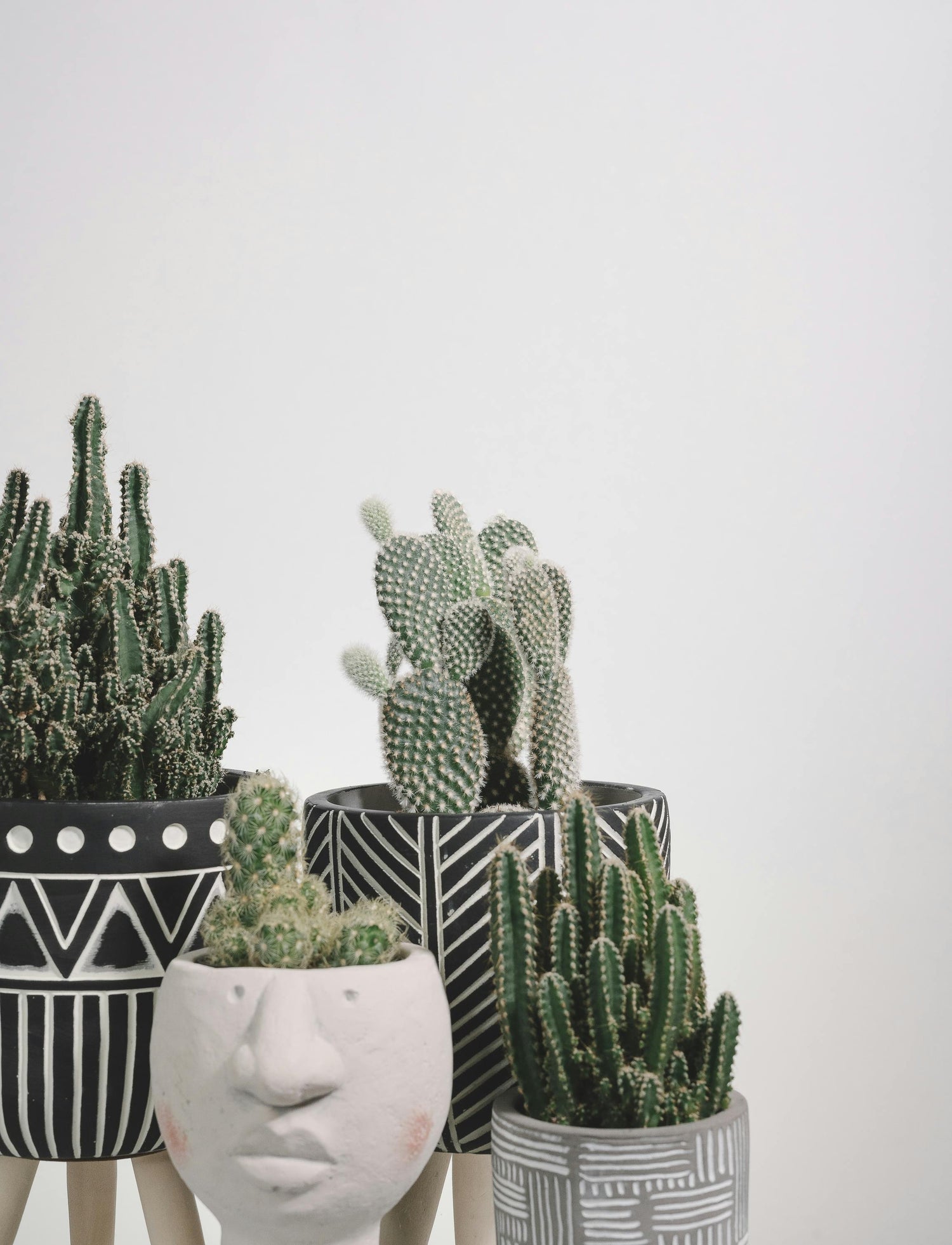 Plants and Planters